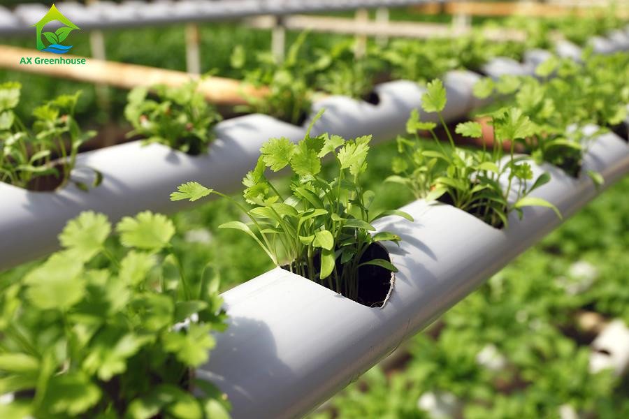 Indoor Farming Custom Soilless NFT Hydroponic System Nutrient Solution Cultivation