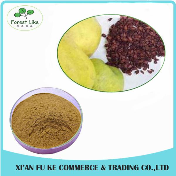 Nutritional Food Ingredients Anti-cancer Spray Dried 100% Natural Papaya Seed