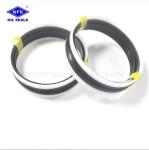 Rubber Oil Seal Piston Combination Seal TPS 354299 393338 433377 472417 492425