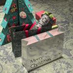 Custom Silver Card Ins Style Christmas Birthday Horizontal Large Gift Handbag