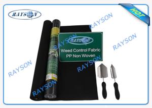 Quality 3% UV Sunlight Permeability Non Woven Landscape Fabric With Certificate wholesale