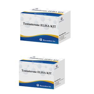 Quality Male Sex Hormone Testosterone Hormone Quantitative Elisa Test Kit For Diagnose wholesale