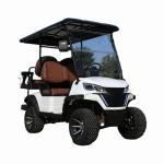 Lithium Battery Utility Vehicle Golf Cart 4Seater Luxury Electric Motor Hunting