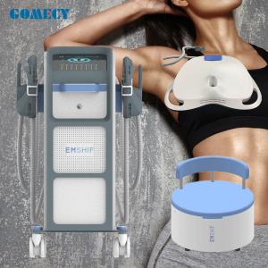Quality EMS muscle stimulation Sculpting weight loss Machine with LCD Display wholesale
