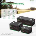 Customizable Electric Golf Trolley Lithium Battery 48volt Environmental Friendly