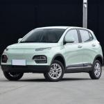 Stylish Look Electric Car YUE HU 5-door 5- Seat SUV Range Up To 300 Km