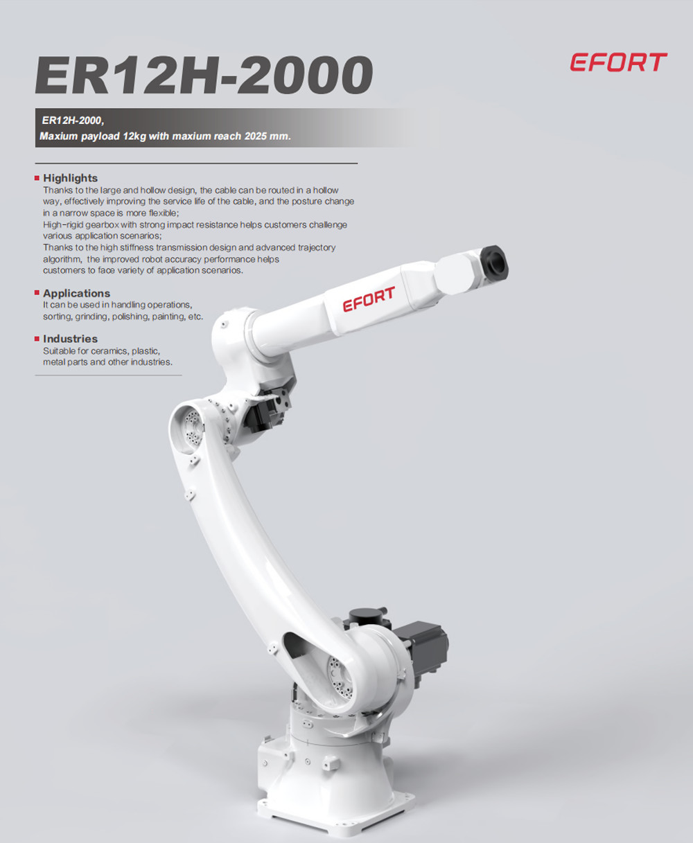 General Industrial Robot In Handling Operations Sorting Grinding Polishing Painting For Metal Parts ER12H-2000