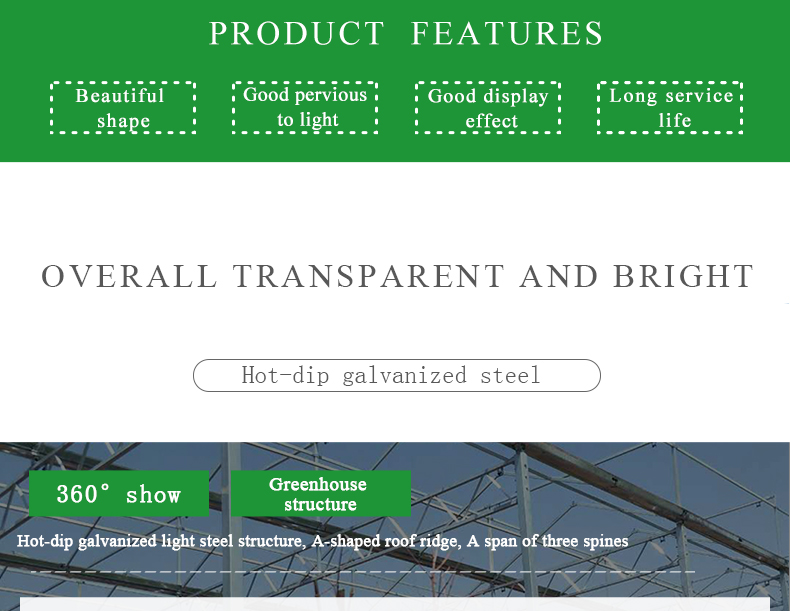 Large Glass Covered Garden Greenhouses for Versatile Planting Options