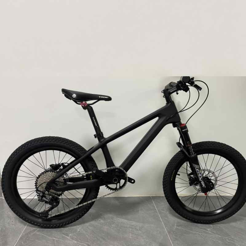 24er Kids Sports Bike Full Carbon Childrens Mountain Bike Shimano Group Set