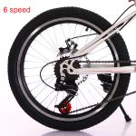 OEM Aluminum Alloy 20 Inch Mountain Bike With Gears For Youth