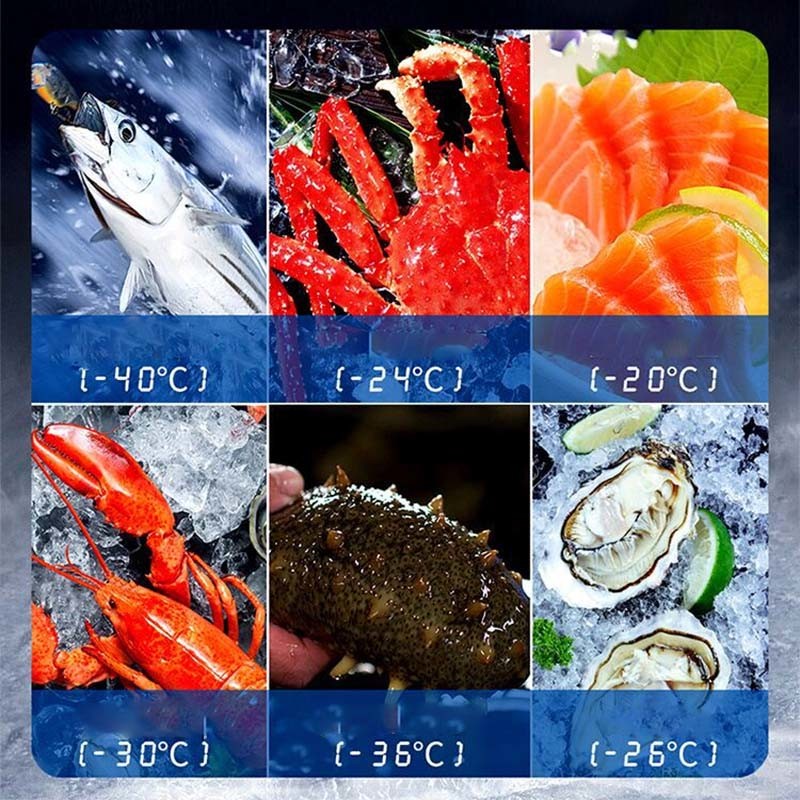 Supermarket Auto Defrost Deep Freezer
