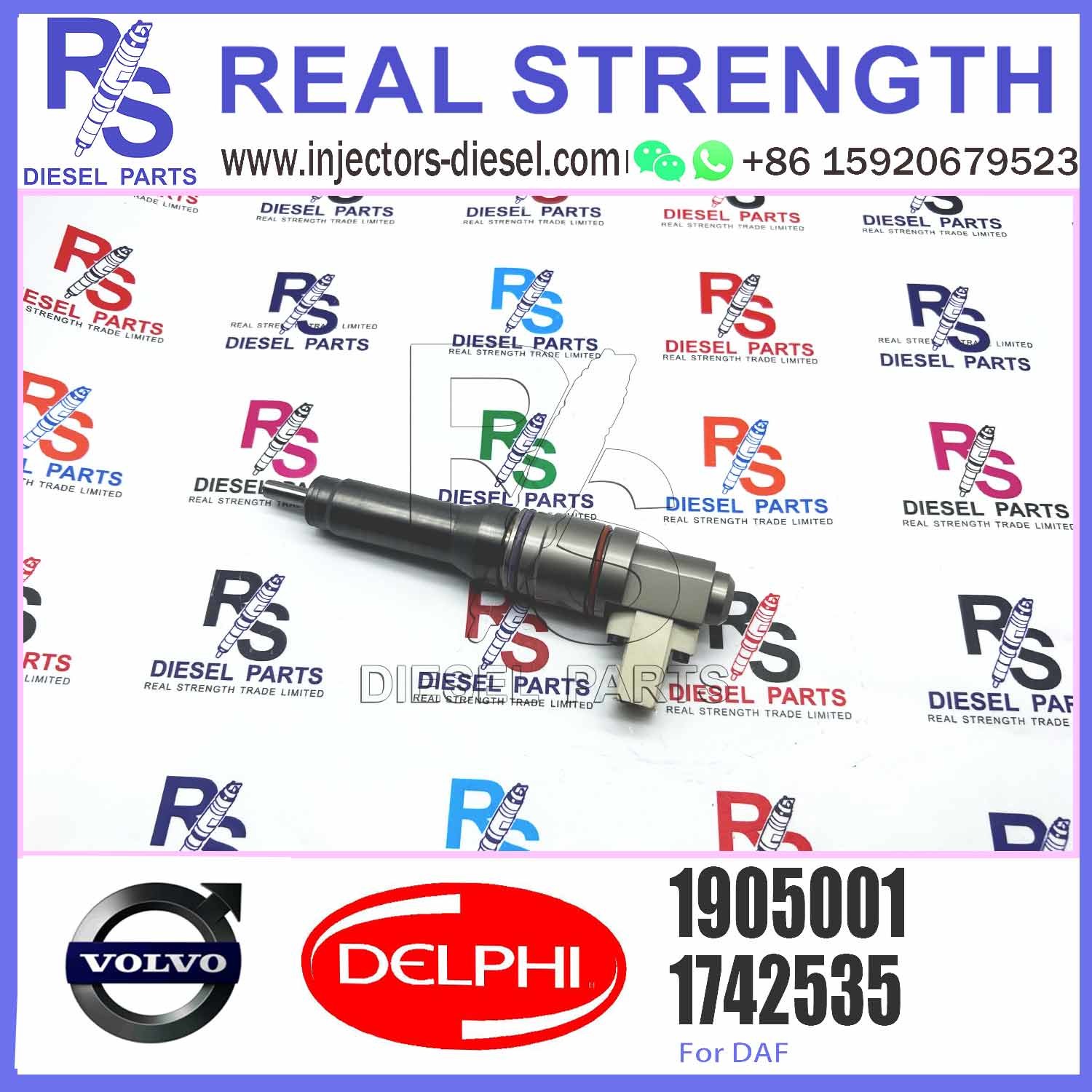 Fuel Injector Assembly BEBJ1A05002 BEBJ1A00202 BEBJ1A05001 1905001 1846419 1905002