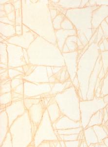 Quality marble color prepainted Steel Coil wholesale