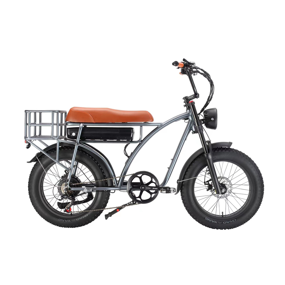 Electric Fat Bike 500W 750W Super Nice 73 Electric Bike with 48V 18AH Lithium Battery