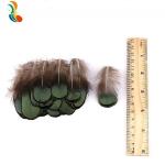 2-4 Cm Golden Pheasant Green Plumage Feathers Shipping DHL UPS FEDEX TNT