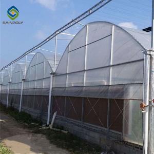 Quality 4m Large Double Arch Polyethylene Film Greenhouse Agriculture Pressure wholesale