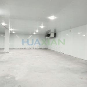 Quality Copeland Refrigeration Walk in Cold Room for Fish, Meat, Vegetable, Fruit Storage wholesale