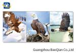 Wall Hanging Decorative Beautiful Flying Eagle 3d Flip Moving Home / Hotel Wall