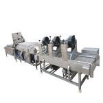Customized Fruit Vegetable Washing Machine Ginger Bubble Washing Machine