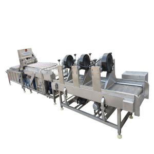 Quality Fully Automatic Fruit And Vegetable Processing Machinery 300-1000kg/h wholesale