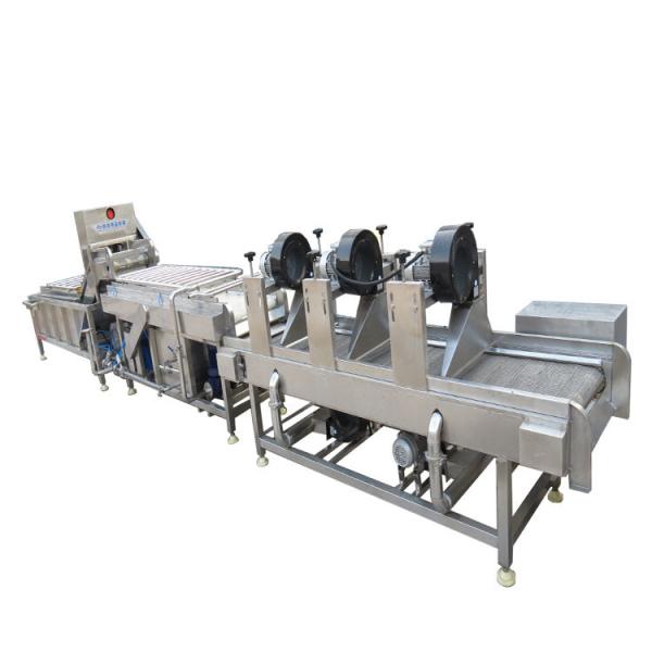 Small continuously kitchen washing fruits and vegetables machine and cleaning