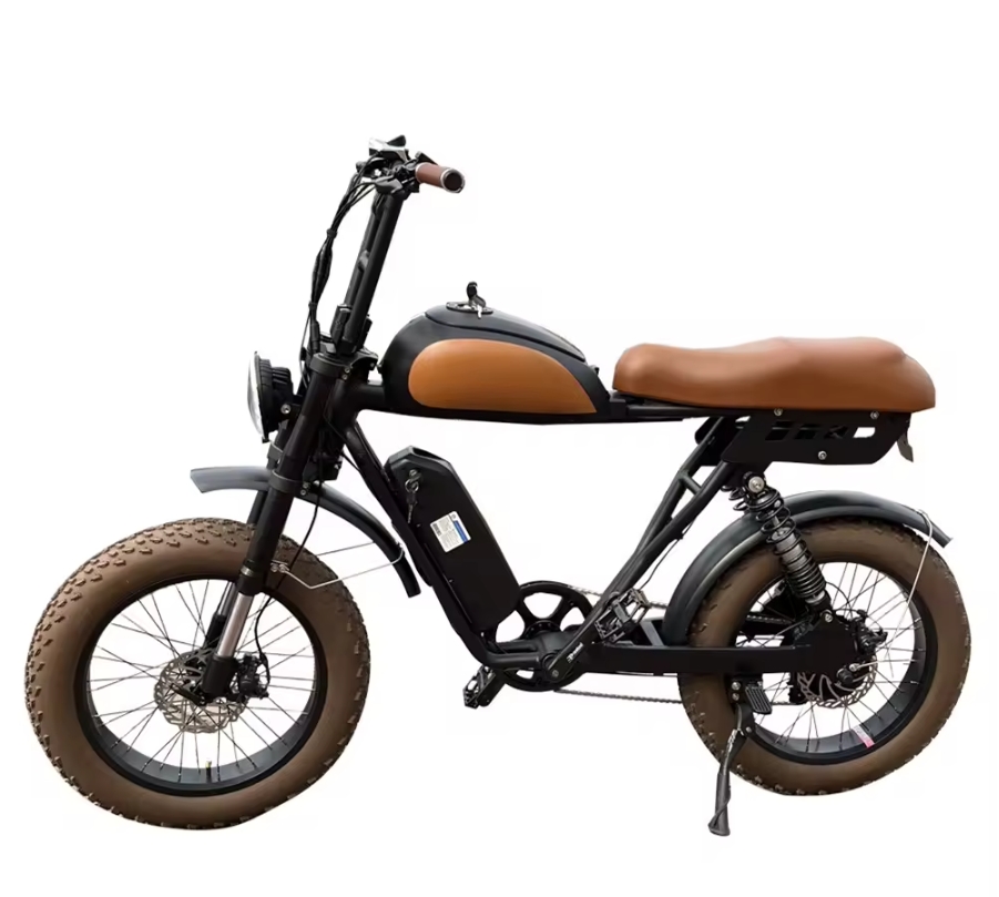 20 Inch Fat Tire 73 Style Ebike 7 Speed Electric Mountain Bike 48V 500W 750W 1000W Retro Full Suspension Electric Bike