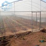 Steel Pipe Dome Metal Hoop Greenhouse Galvanized Prefabricated Single Tunnel