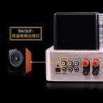 Integrated Stereo Hybrid Vacuum Tube Audio Amplifier With Subwoofer Output MIC