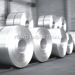 SGS 2.5mm 3105 3103 3A21 3000 Series Aluminum Sheet Coil