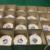 AUTO ROLL BAGS,AUTO FILL BAGS, PRE-OPENED BAGS, AUTOMATED BAGGING PACKAGING, BAGGERS,ACCESSORIES PAC