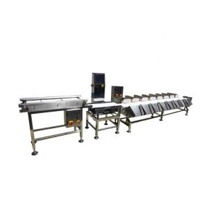 Quality Bearing Case Carton Box Conveyor Weight Checker Machine wholesale
