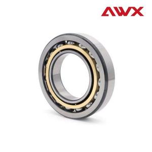 Quality Single / Double Row Angular Contact Ball Bearing 7202AC Automobile Ball Bearing wholesale