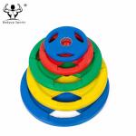 High Quality Colorful Fitness Rubber Coated Grip Weight Plate