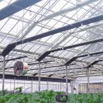 Turnkey Project Usa Tunnel Automatic Blackout Greenhouse Agricultural Plant