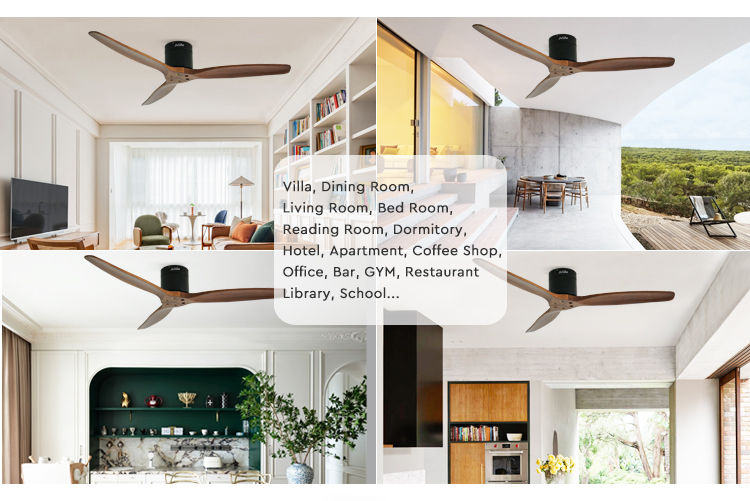 ceiling fan
