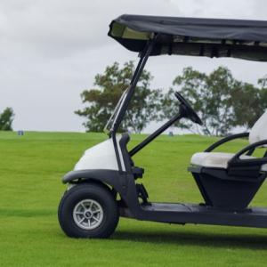 Quality 12v 48v 100ah Lifepo4 Battery Pack Golf Cart Safe Powerful Easy Plug And Play wholesale