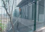Anti - Cutting Welded Wire Mesh Fence Q195 Steel Materials PVC Powder Painting