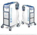Fitness Electro EMS Sculpting Machine Slimming With 5 Handles