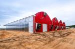 Shipping Cost Agricultural Multi-Span Plastic Tunnel Film Greenhouse Customizati