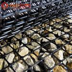 Reinforcement Road Sell PP Biaxial Geogrid Plastic for Civil Engineering