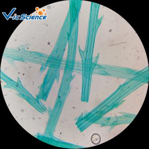 Quality Medical Science Biological Ready Made Microscope Slides Set 50pcs wholesale