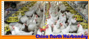 Quality Coal-buring heater wholesale