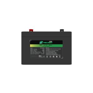 Quality Ev Electric Vehicle Solar Lithium Iron Phosphate Battery 24 Volt LiFePO4 12V 100ah BMS wholesale
