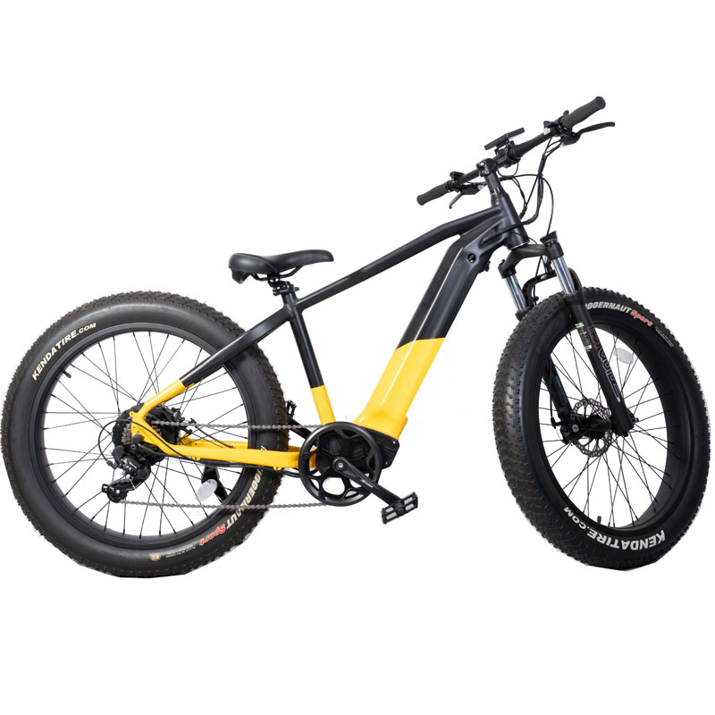 Electric Mountain Bike High Power 1000W Bafang Dual Motor and Rear Drive Speed 38km/h