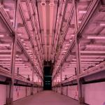 Ventilation fan 40ft Container Greenhouse for Advanced Plant Growth