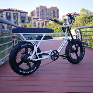 Quality City Style Pedal Electric Assist Mountain Bike Rear Drive Brushless Gear Motor wholesale