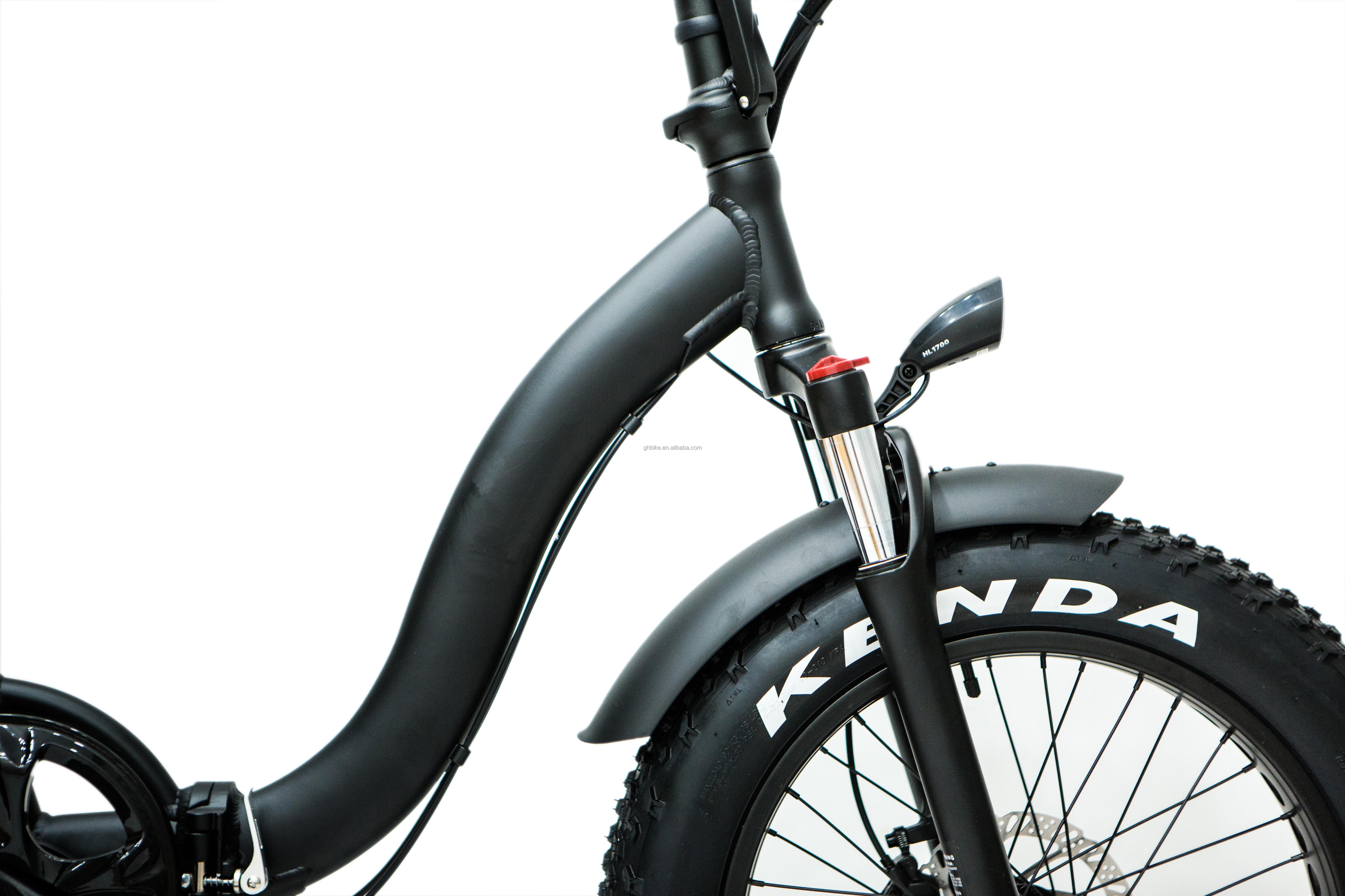 7 Speed 20" 48V 750W 14AH 20MPH Lithium Battery OEM UL2849 USA Market Adult Lady Women Electric Folding Snow Big Flat Tire Bike