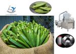 PLC Control Vegetable Chips Making Machine Vacuum Snacks Fryer 50kg-200kg