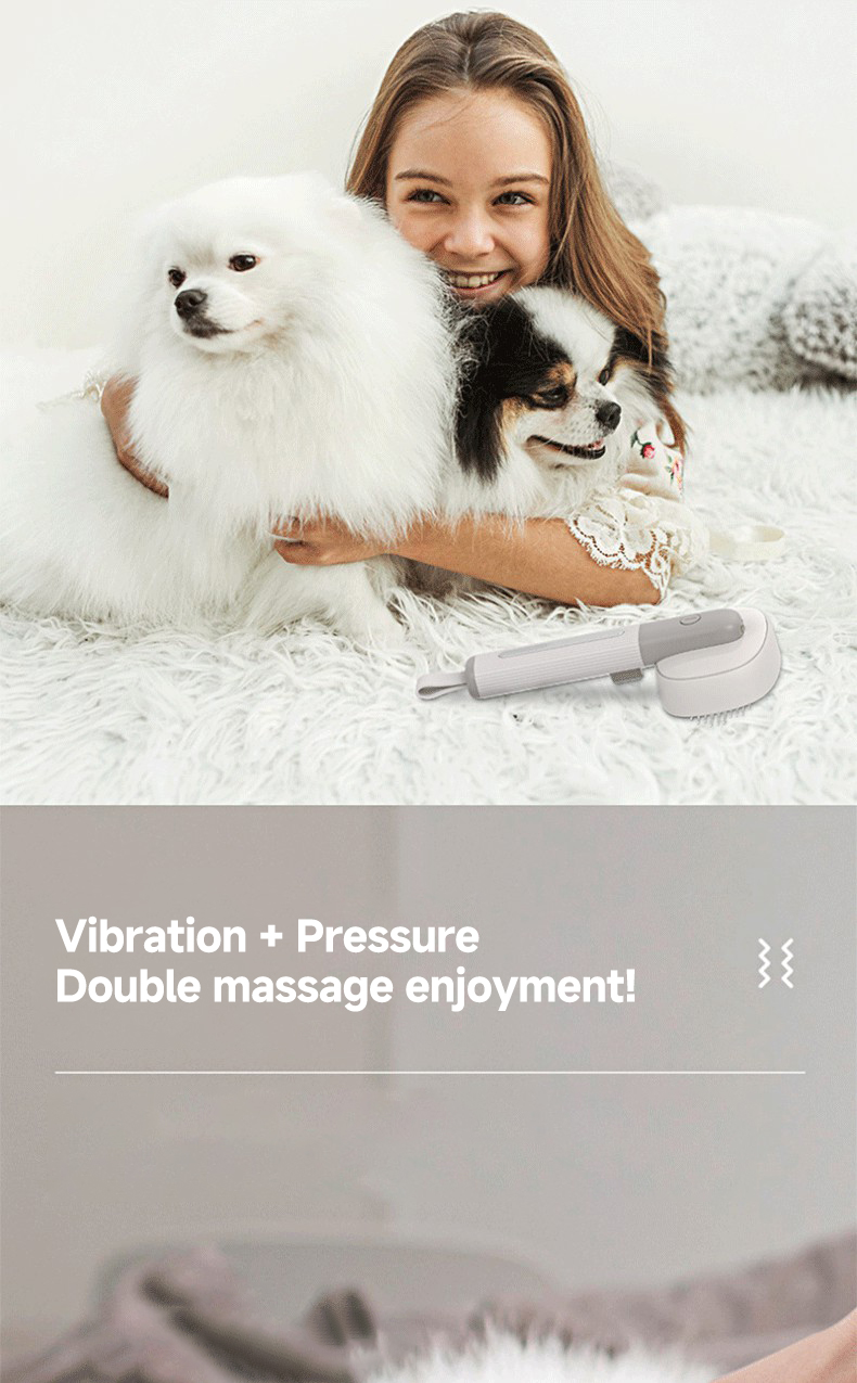Pet Brush Cats Dogs ABS TPR Grooming Products Multifunctional Brush UV Light