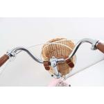 Kids Single Speed Carbon Steel Childrens Training Wheel Bike With Pneumatic